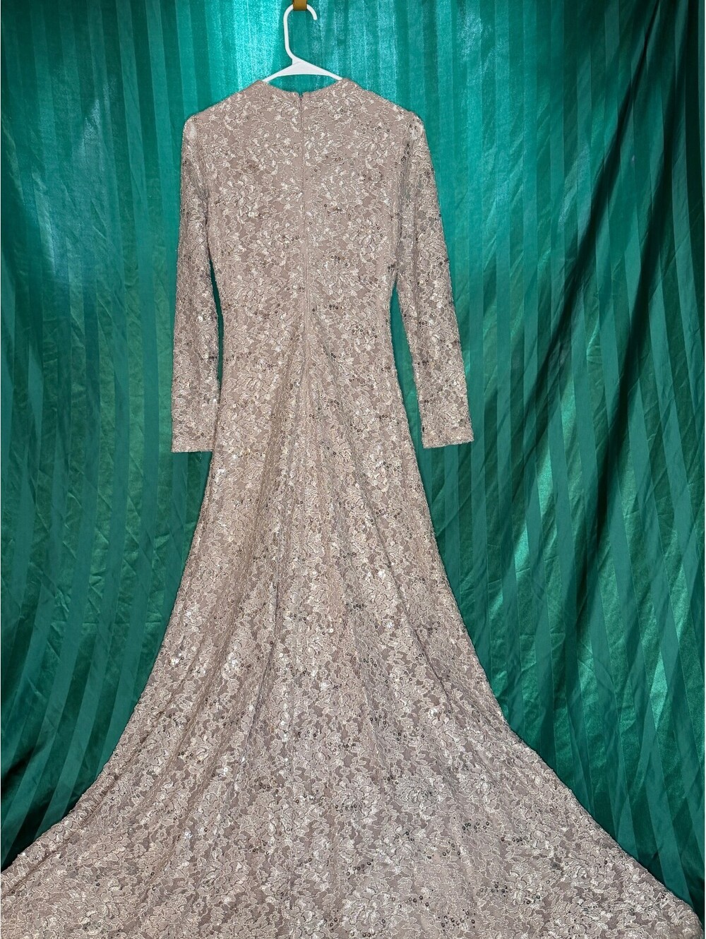 Tahari Arthur S. Levine Beige Sequin Lace Evening Gown Womens Size 4 V-Neck - Picture 7 of 7